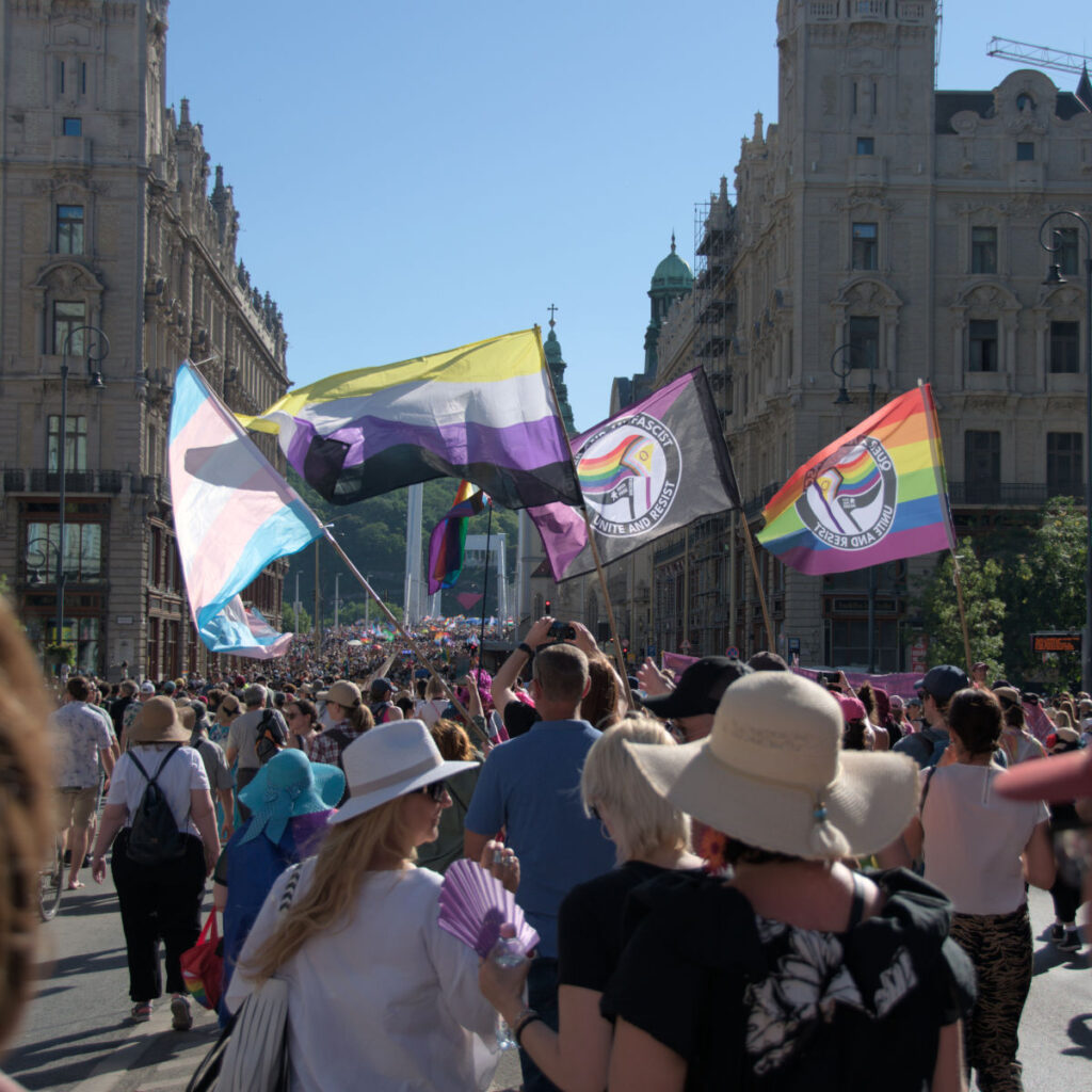 Eine große Menschenmenge in der Straße einer urbanen Region. Im Hintergrund sind die weißen Pfeiler einer Brücke zu sehen. Es werden Flaggen geschwungen: trans, nichtbinär und die der Queer Pride Dresden.